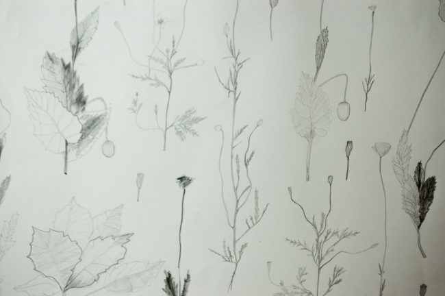 In Flanders Fields, Ontwerptekening behang