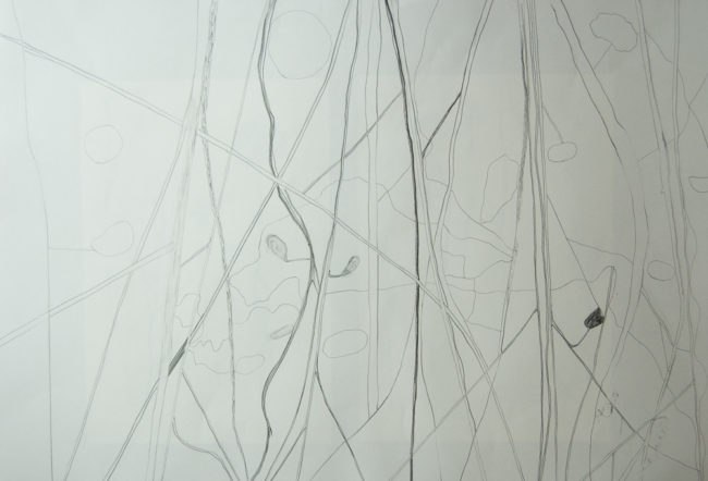 In Flanders Fields, Ontwerptekening behang