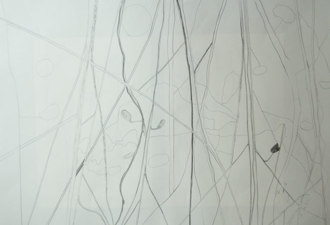 In Flanders Fields, Ontwerptekening behang