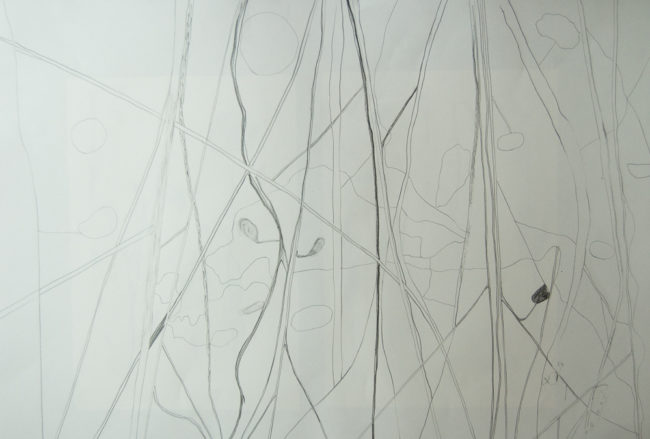 In Flanders Fields, Ontwerptekening behang
