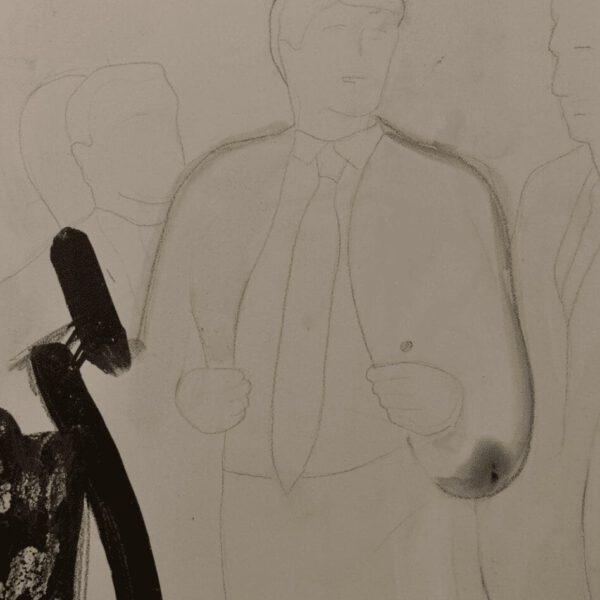 The Donald, 24 tekeningen op plaatmateriaal, 21 x 30 cm, Fort bij Asperen, 2018