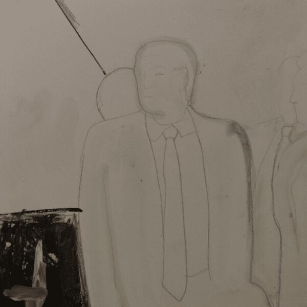 The Donald, 24 tekeningen op plaatmateriaal, 21 x 30 cm, Fort bij Asperen, 2018