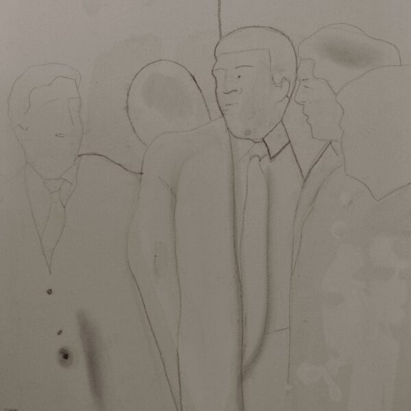 The Donald, 24 tekeningen op plaatmateriaal, 21 x 30 cm, Fort bij Asperen, 2018